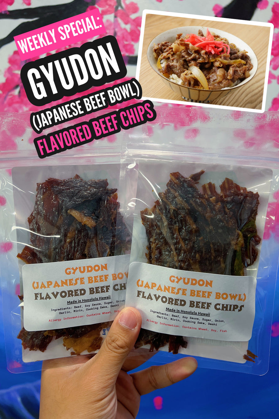 Gyudon (Japanese Beef Bowl) Flavored Beef Chips