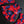 Load image into Gallery viewer, (Berries 01) Origami Cloth Mask
