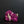 Load image into Gallery viewer, (Purple 02) Origami Cloth Mask

